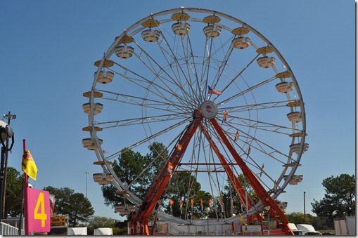 DSC_0563 DSC_0563
