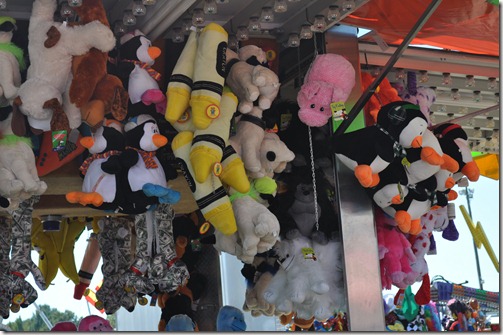 DSC_0565 DSC_0565