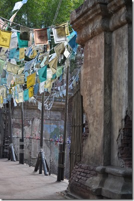 Top 5 disney restaurants