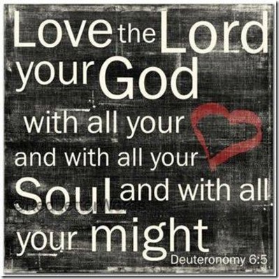 1002360_565062103553270_2128533570_n