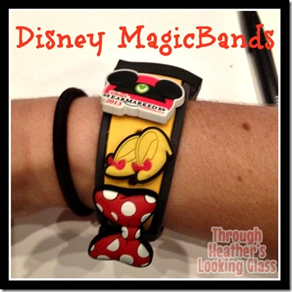 Disney MagicBands Disney MagicBands