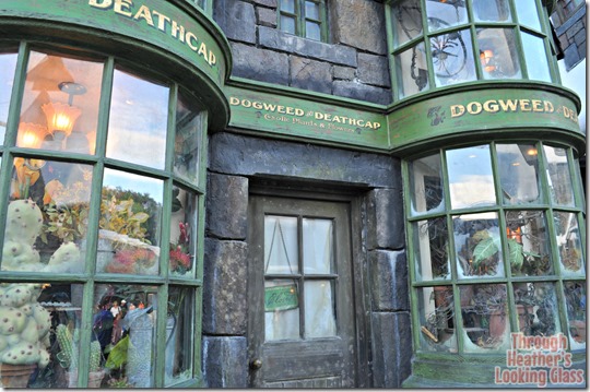 harry potter shop