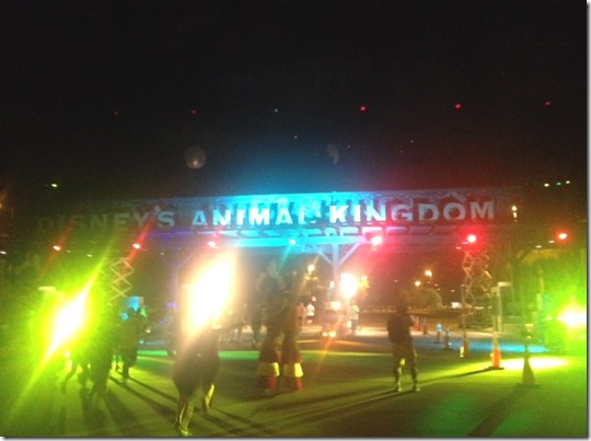 photo 3 (1) photo 3 (1)