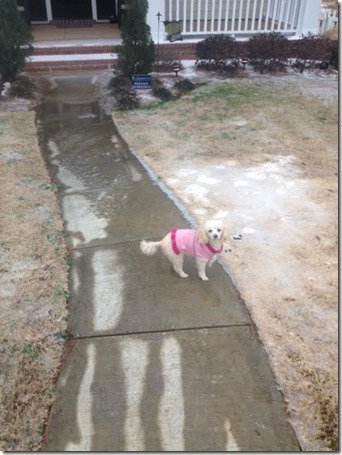 unnamed (12) unnamed (12)