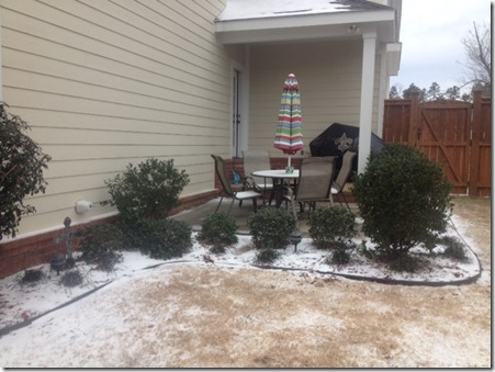 unnamed (13) unnamed (13)