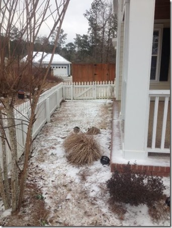 unnamed (14) unnamed (14)