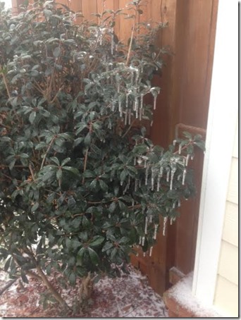 unnamed (17) unnamed (17)