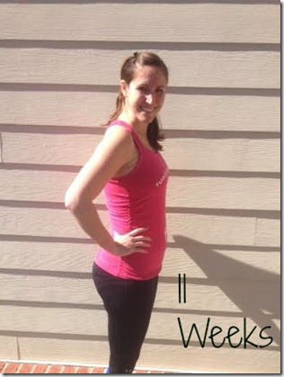 11weeks bump 11weeks bump