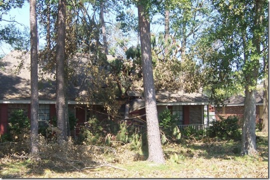 188431_504086609848_7452_n