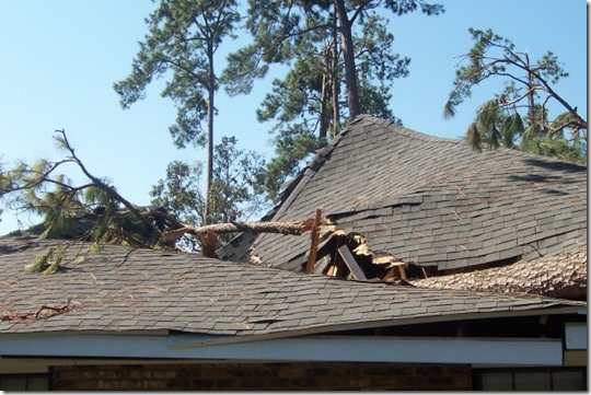 189083_504086579908_6487_n