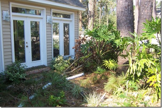 190431_504086594878_7343_n