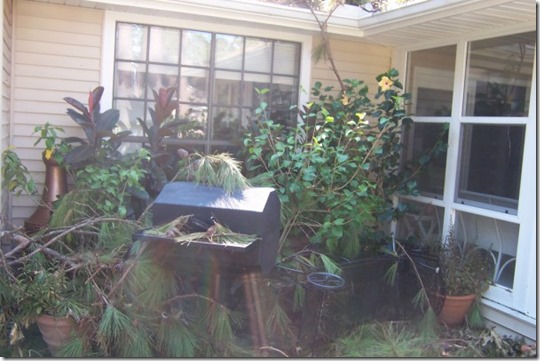 197229_504086584898_7273_n