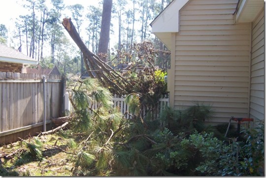 198949_504086589888_7307_n