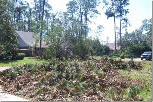 200205_504086599868_7379_n