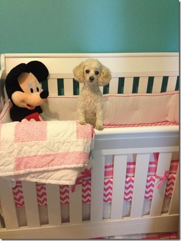 bella crib bella crib