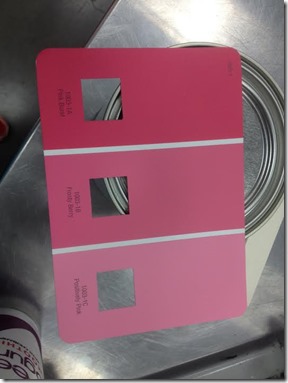 pink paint pink paint