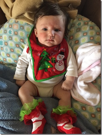 IMG_1468 (2) IMG_1468 (2)