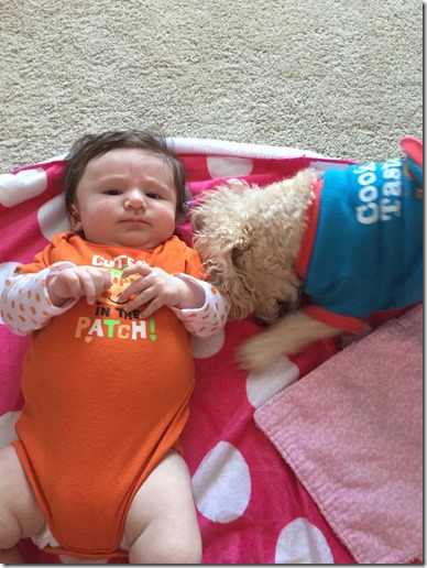 IMG_1586 (2) IMG_1586 (2)