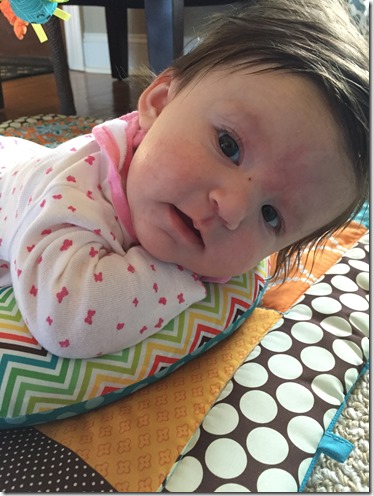 IMG_1674 (2) IMG_1674 (2)