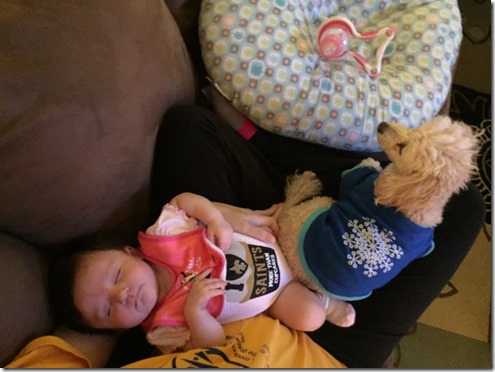 IMG_1680 (2) IMG_1680 (2)