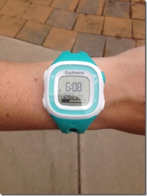 garmin 15