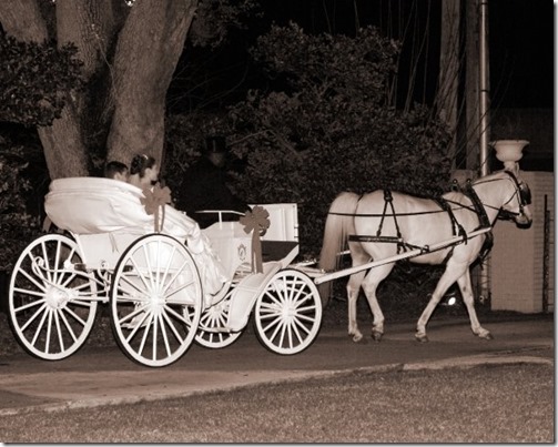 1923716_506448247108_8918_n