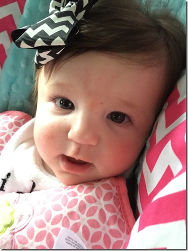 IMG_2458 (2) IMG_2458 (2)