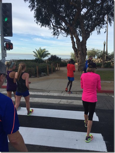 IMG_3585 (2) IMG_3585 (2)