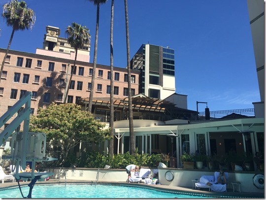 IMG_3616 (2) IMG_3616 (2)