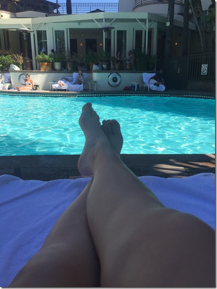 IMG_3617 (2) IMG_3617 (2)