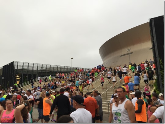 IMG_4132 (2) IMG_4132 (2)