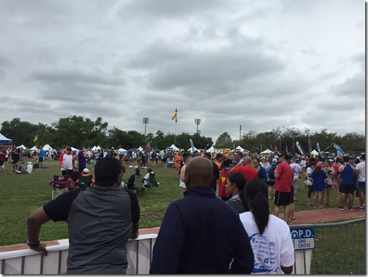 IMG_4178 (2) IMG_4178 (2)