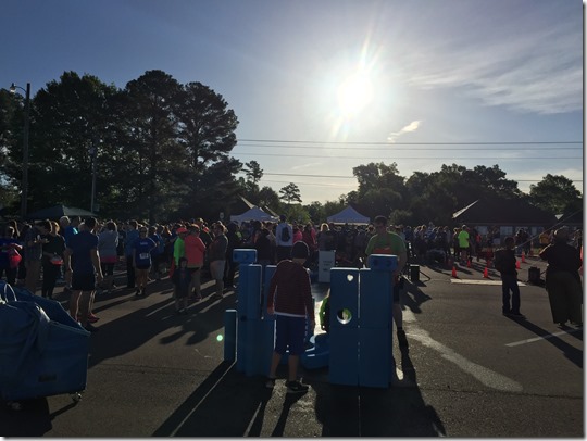 IMG_4317 (2) IMG_4317 (2)