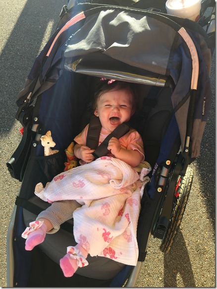 IMG_4319 (2) IMG_4319 (2)