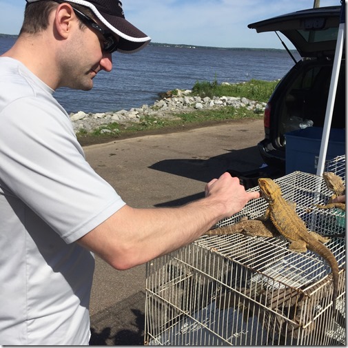 IMG_4355 (2) IMG_4355 (2)