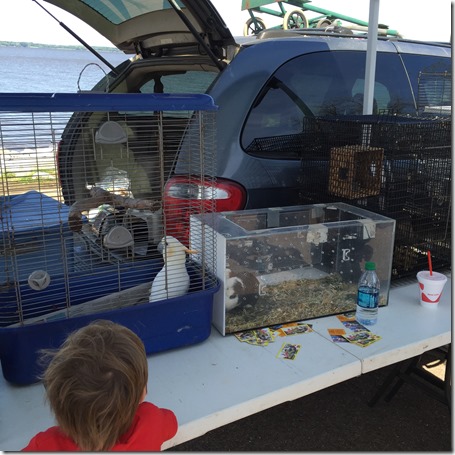 IMG_4358 (2) IMG_4358 (2)