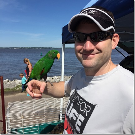 IMG_4360 (2) IMG_4360 (2)