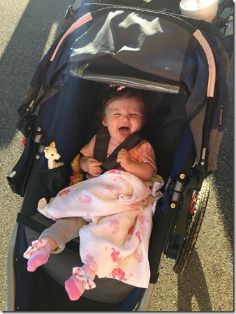 IMG_4319 (2) IMG_4319 (2)