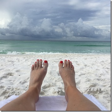 IMG_6239 (2) IMG_6239 (2)