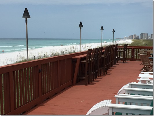 IMG_6266 (2) IMG_6266 (2)