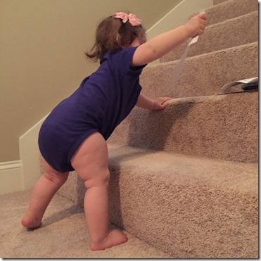 IMG_6815 (2) IMG_6815 (2)