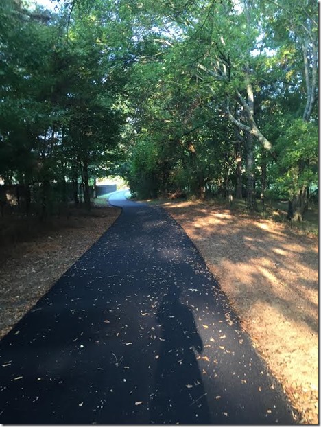 running trail running trail