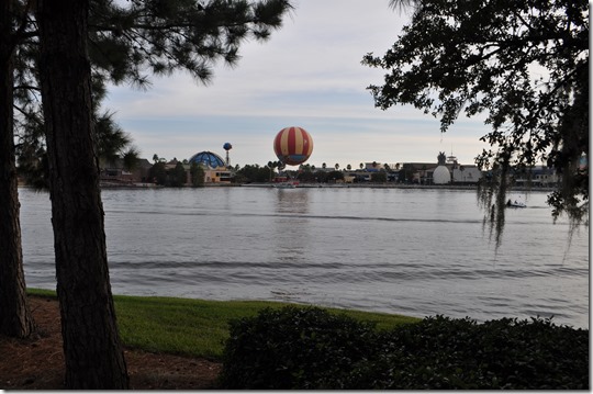 DSC_0985 DSC_0985