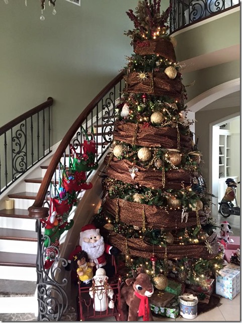 10288726_989413036798_388249821784966372_n