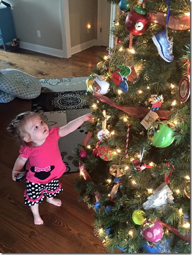 1455908_989410347188_421088020054480994_n