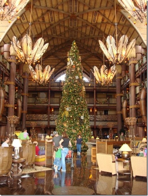 1909831_506266700928_2713_n