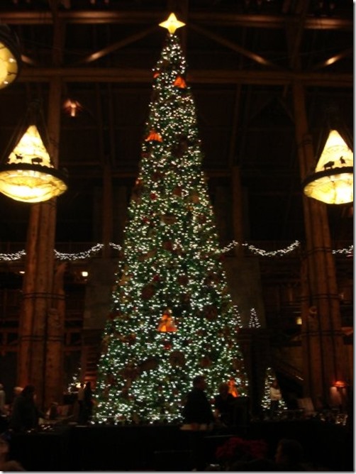 1909831_506266965398_7973_n