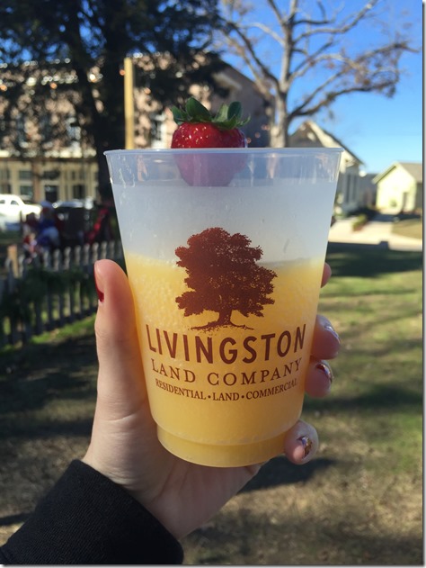 livingston mimosa