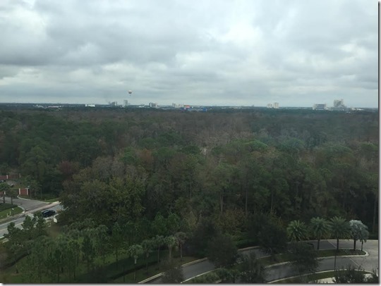 bonnet creek view bonnet creek view