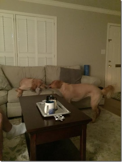 66a050c9-ef9f-47a6-b278-591077de3453